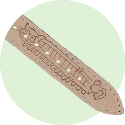 Strap